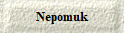  Nepomuk 